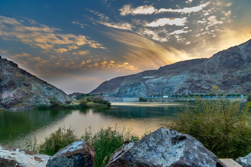 CBI's Commitment to Sustainability
